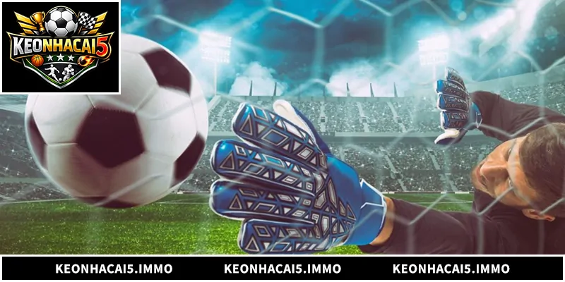 Livescore KEONHACAI5 - Theo Dõi Tỷ Số Bóng Đá Trực Tuyến Khám phá toàn bộ hệ thống livescore KEONHACAI5